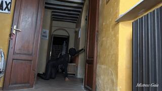 MISTRESS GAIA - LESBIAN PUNISHMENT - HD