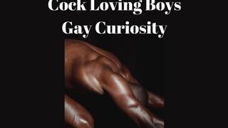 THE COCK LOVING BOYS - GAY CURIOSITY [Bi] [Bi-sexual] [Gay Love]