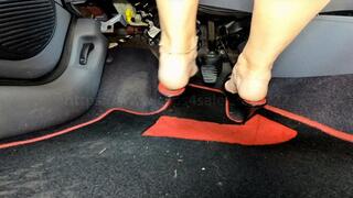 Madame Gorgia drives with mules - feet view