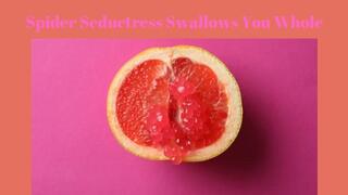 Spider Seductress Swallows You Whole - Extreme Erotic Vore Mesmerize