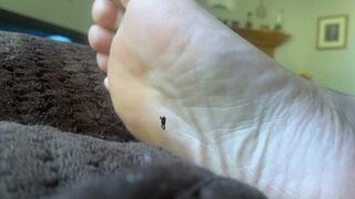 Playful Teenie Climbing all over Giantess Giant Soles 1080