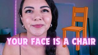 Your Face is A Chair