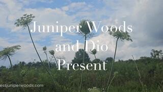 Summer Solstice fantasy (17 minutes)