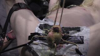 cbt electro play on this micro dick