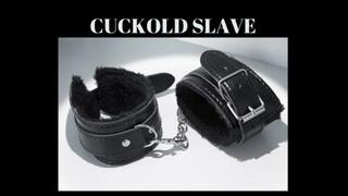 CUCKOLD SLAVE MESMERIZE - Cuckslave Mesmerize [Cuckold Training] [Cuckold Sub Slave] [Cuckold Submissive]