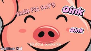 Cash pig says Oink