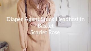 Diaper Agent Stuck Headfirst in Basket