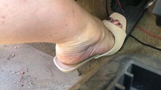 Susanna's Stubborn Tempo!! Pt 2