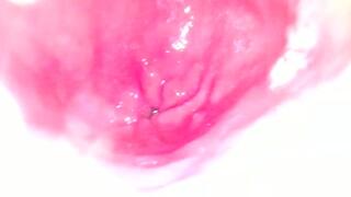 Bailey's Stomach RAW FOOTAGE