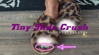 Tiny Slide Crush