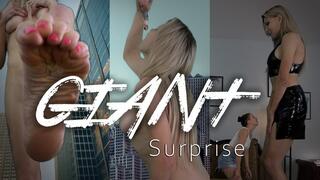 Giant Surprise