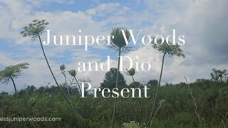 Summer Solstice fantasy (26 minutes)