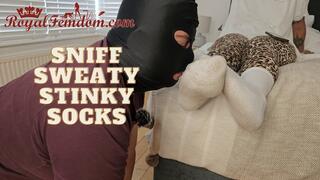 Sniff My Stinky Sweaty Socks HD