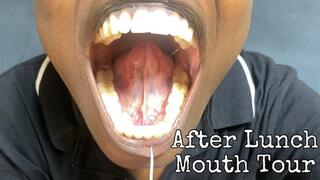 After Lunch Mouth Tour
