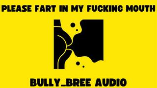 Please Fart In My Fucking Mouth Audio
