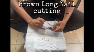 Long Brown Nail Clipping