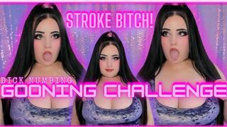 Stroke Bitch! Dick Numbing Gooning Challenge! (1080 MP4)
