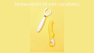 INSTANT PERMANENT PUPPY TRAINING - PET PLAY II [Puppy] [Pup Play] [Human Pup Fantasy] [Pet Play] [Pet Transformation] [Puppy Play] [Pet Puppy Fantasy]