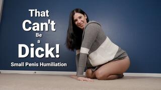 That Can't Be a Dick! Small Penis Humiliation Bra Panties Pantyhose - Kylie Jacobsx - MP4 1080p HD