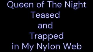 Teased into pantyhose web Smoking version