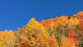 LittleBabyJane Gets Fucked in the Wild