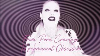 Stage 1: From Porn Craving to Permanent Obsession