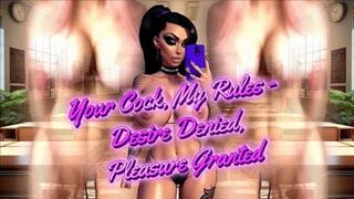Your Cock, My Rules - Desire Denied, Pleasure Granted (CFNM)