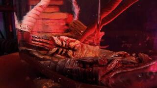 Fucking Alien Halloween part 1 WMV