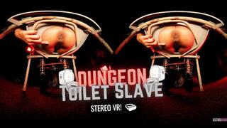 DUNGEON TOILET SLAVE feat AstrodDomina (STEREO VR)