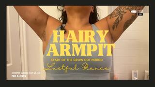 Hairy Armpit Tease * No Audio *