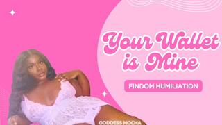 Your Wallet is Mine:FINDOM HUMILIATION