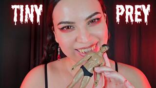 Tiny Prey - Giantess Vampiress Countess Wednesday Mesmerizes You - Vampire Vore, Biting, Licking, Eye Contact MP4 1080p