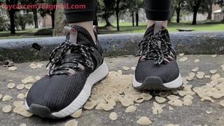 Crunchy crispy pasta