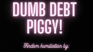 DUMB DEBT PIGGY! MP3 FINDOM AUDIO