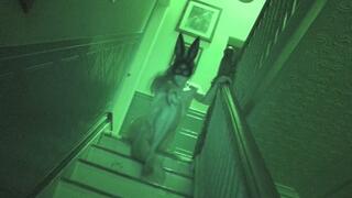 LadyT Ghostly Encounter