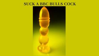 SISSYMAID COMPELLED TO SUCK A BBC BULLS COCK - Femdom Mistress Made You Give Her Bull A Sloppy Blowjob