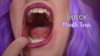 Quick Mouth Tour