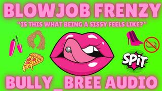 Blowjob Frenzy Audio