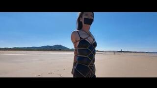 YT2562 Leather Girl By the Seaside