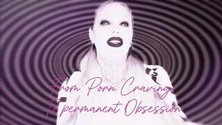 Stage 1: From Porn Craving to Permanent Obsession WMV