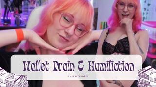 Findom Wallet Drain And Humiliation