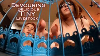 Devouring Delicious Tiny Livestock - VR 360 - featuring Kane Fawkes and Jane Judge, in this hungry giantess and giant vore video with tinies kept in cages and fattened up for months before being seasoned and prepped to cook and then swallowed raw, as your