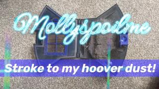 Wank to my hoover dust!