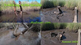 Frolicking in the Swamp, Summer 2024