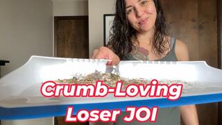 Crumb-Loving Loser JOI