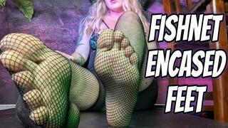 Fishnet Encased Feet