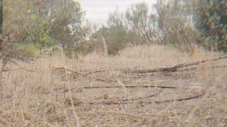 crushing crystals outdoors wearing boots heels