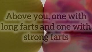 Above you, one with long farts and one with strong farts