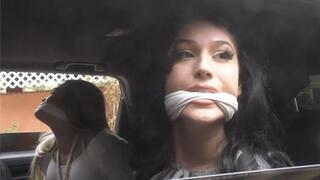 Bondage For Big Bucks - FULL FIVE-SCENE VIDEO! 1080p Version