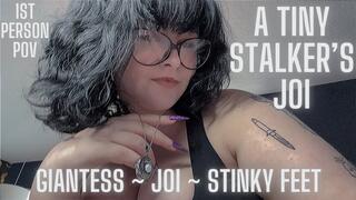 A Tiny Stalker's JOI